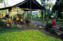 Alambic;-Archipel-des-Comores;-Artisanat;-Distillerie;-Fleurs;-France;-Homme;-Kaleidos;-Kaleidos-images;-La-parole-à-limage;-Laurent-Abad;-Mayotte;-Océan-Indien;-Parfumerie;-Stories-Pictures;-Ylang-ylang